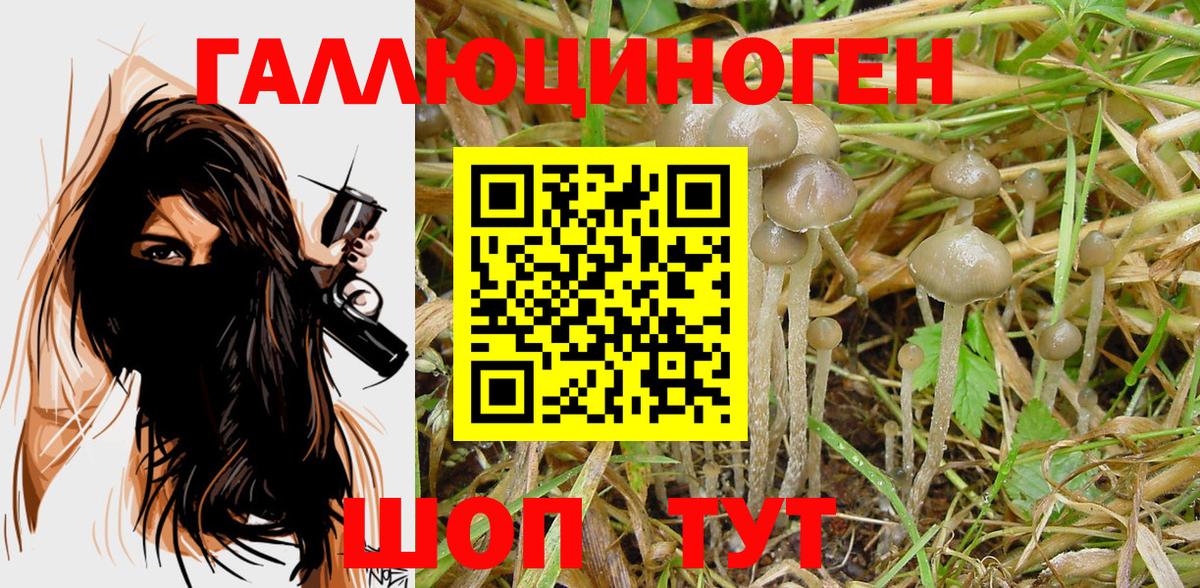 Кумертау  Псилоцибиновые грибы GOLDEN TEACHER  Вход с VPN 
